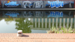 graffitiwand bij stadhuis
